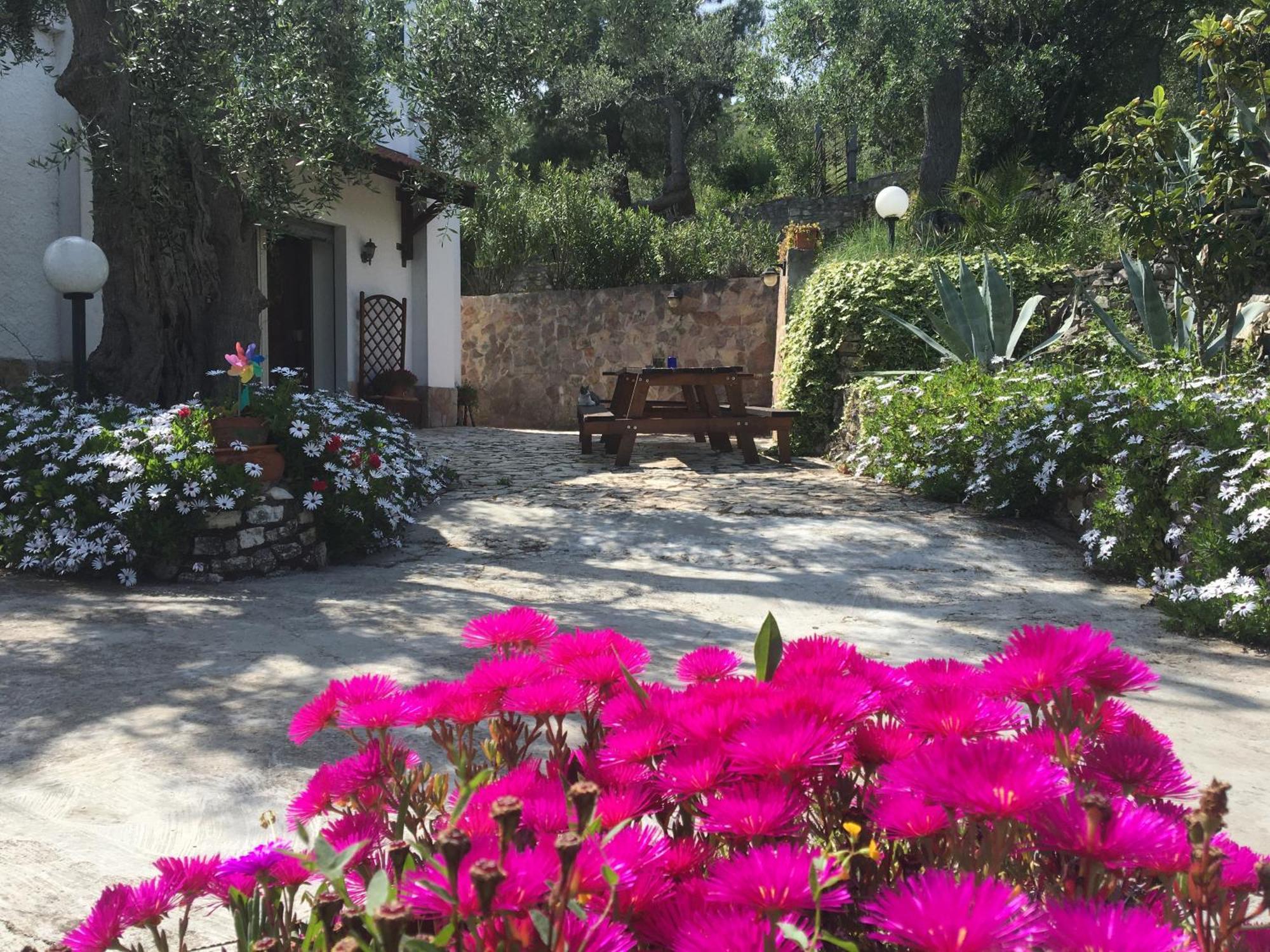 Azienda Agricola B&B Macchiaria Vieste Buitenkant foto