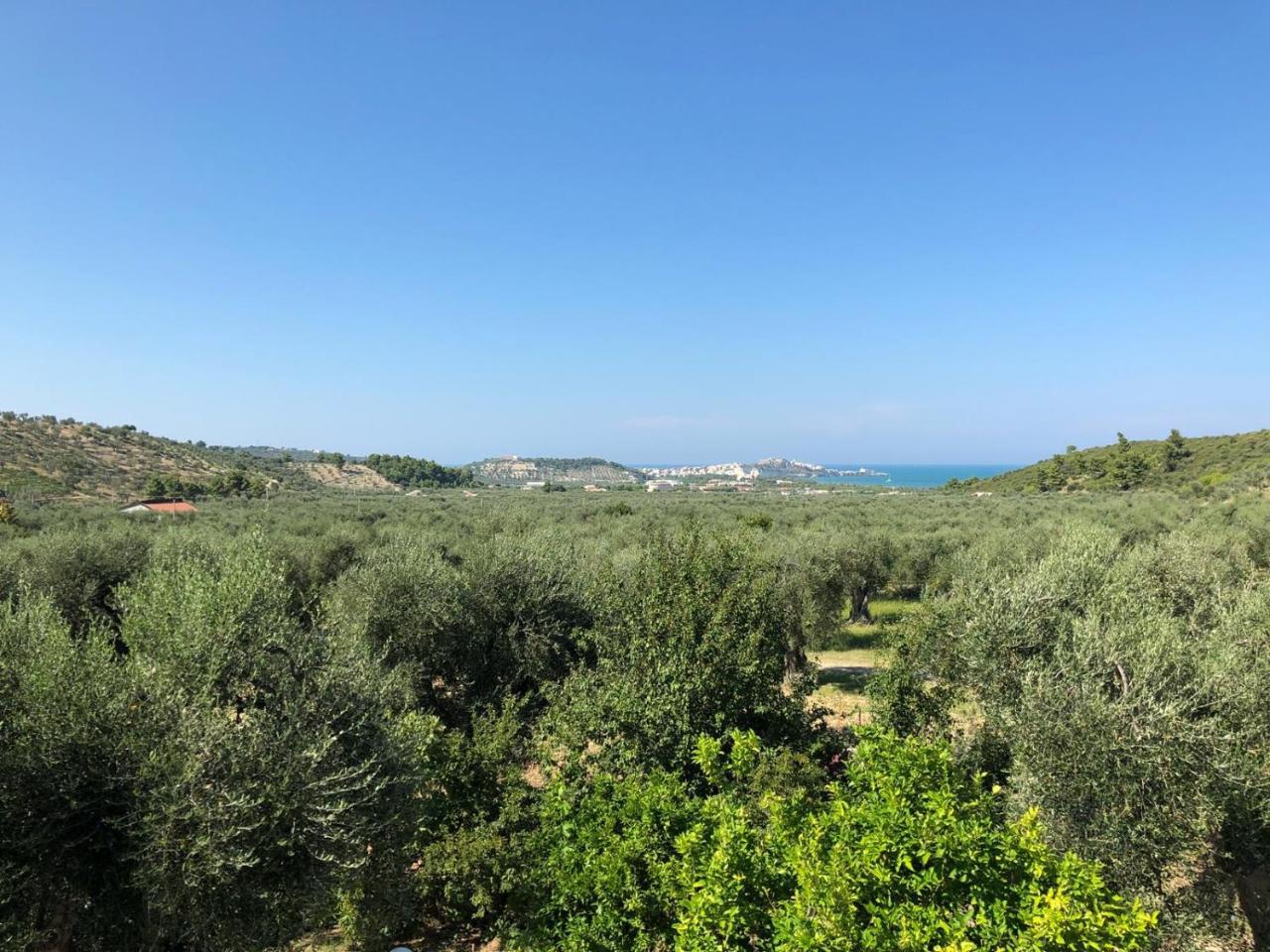 Azienda Agricola B&B Macchiaria Vieste Buitenkant foto