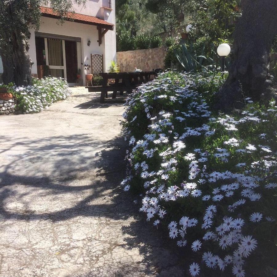 Azienda Agricola B&B Macchiaria Vieste Buitenkant foto